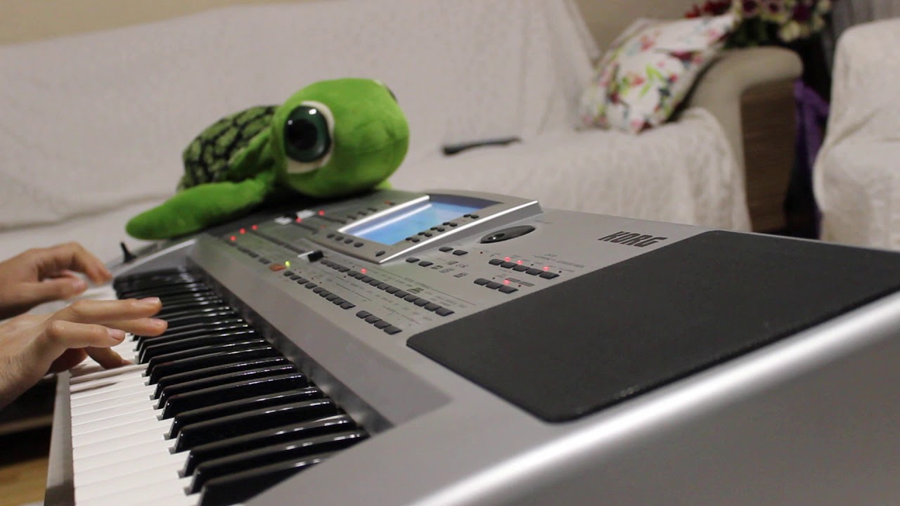 Neredesin Sen Korg
