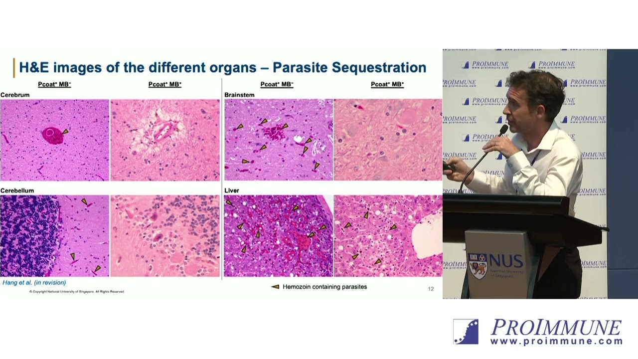 Dr. Benoit Malleret: Methylene Blue Treatment Unveils Blood Biomarkers in Fatal Cerebral Malaria