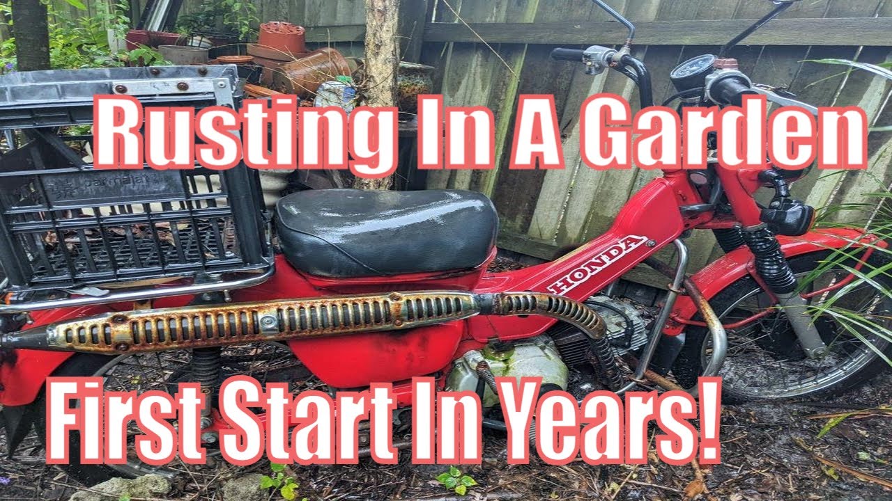 Reviving A Rusty CT 110 - Will It Run?