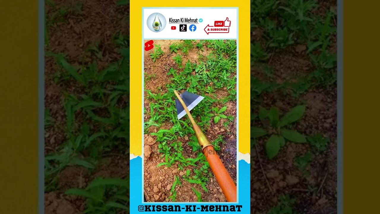 Garden Edger Weeder - Soil Cultivator - Hoe Long Handle Grass Flower Backyard Gardening Tool
