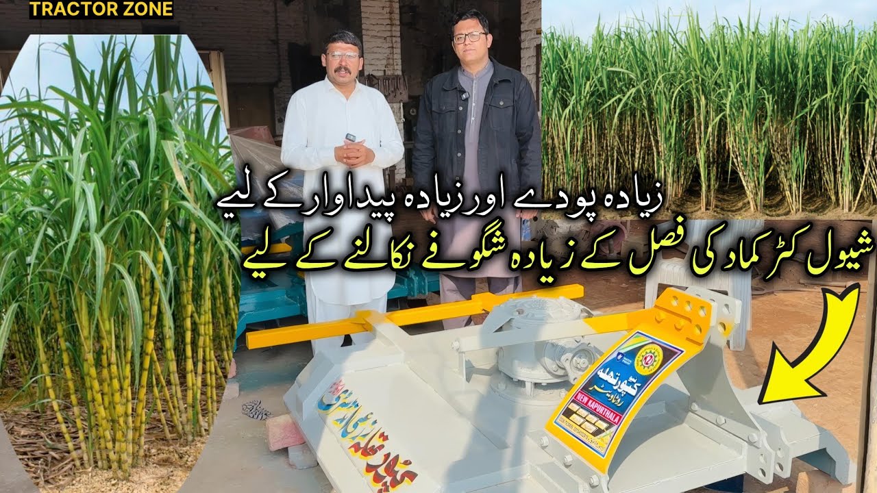شیول کٹر کماد کی فصل کے لیے زیادہ شکوفے نکالنے کے لیے زیادہ پودے اور زیادہ پیداوار کے لیے 