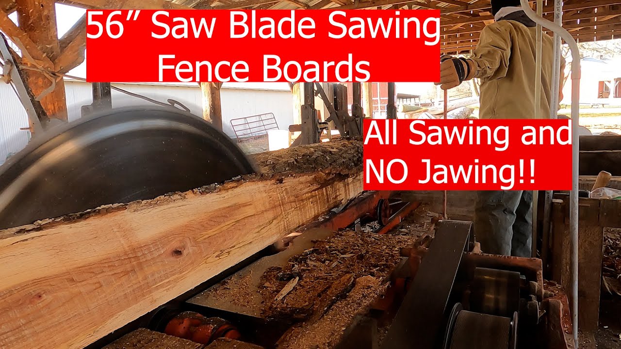 Sawing 17' fence boards with an old 56