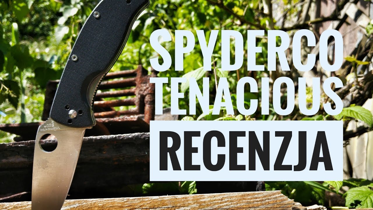 Spyderco Tenacious - recenzja