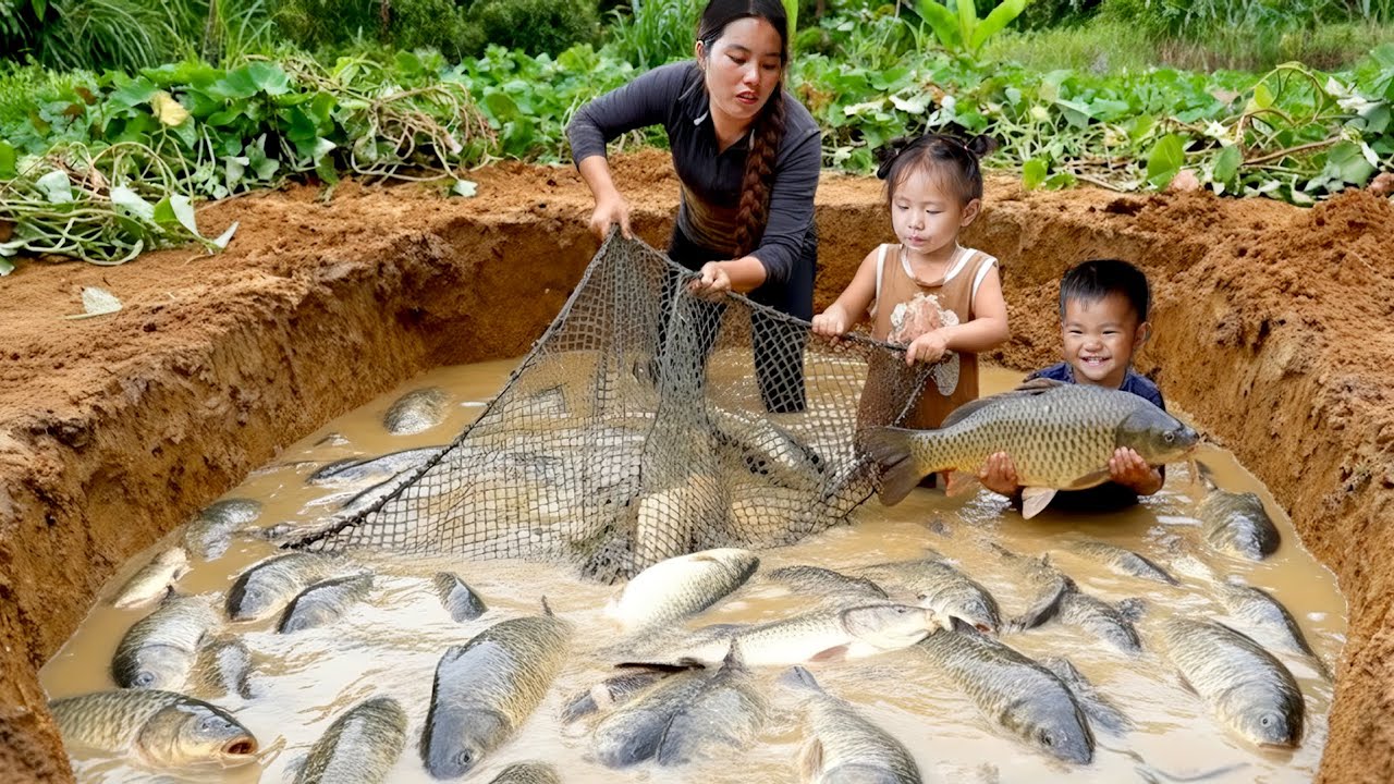 Shocking Giant Fish Catch! Harvesting Our Big Pond Together with My Son