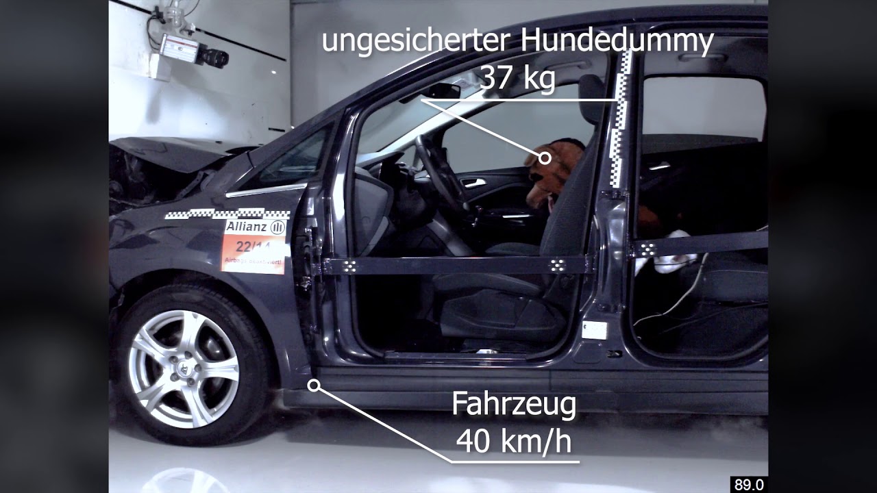 Crashversuche zur Sicherung von Hunden im Auto