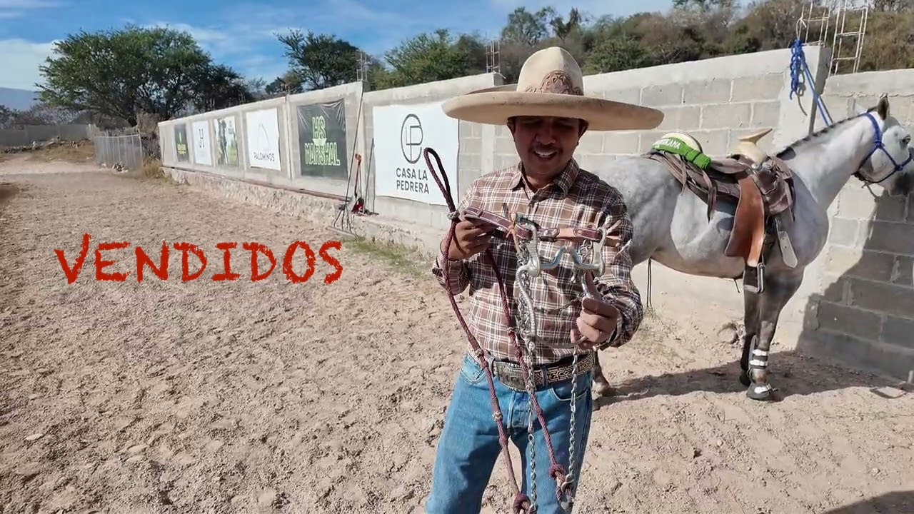 Disponibles MACARIO y EL DÓLAR recién enfrenados en Rancho La Corporación