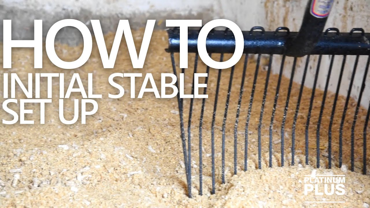 HOW TO | Initial Stable Set Up | Platinum Plus Wood Pellets