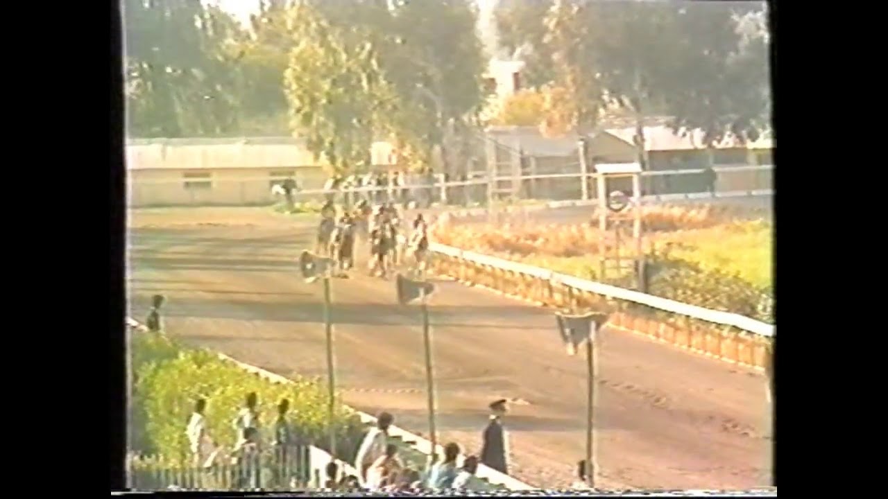 ST LEGER CUP 1989 JOKERS BOY