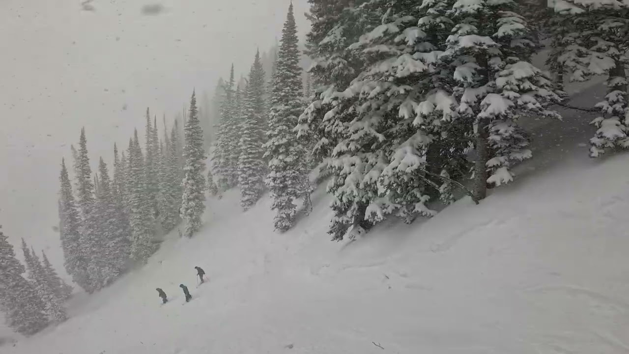 Finally a Powder Day at Snowbird! 30 inchesand still snowing!