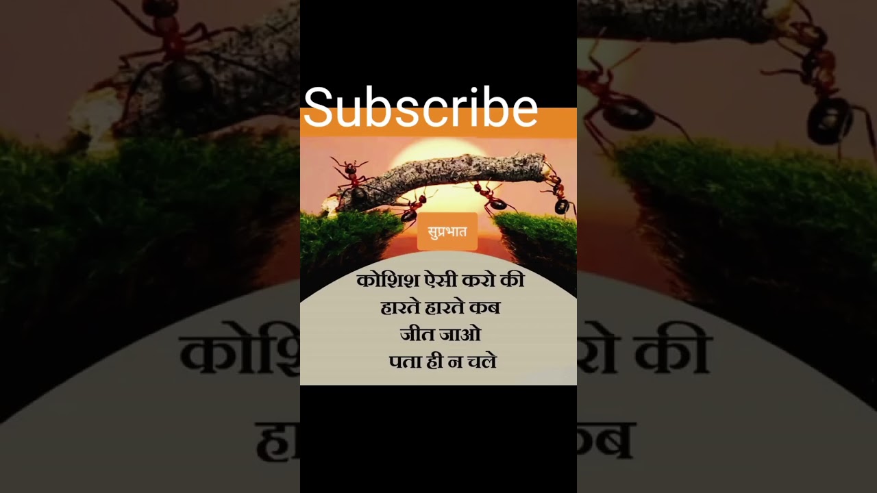 💔💯#motivation💯 #upsc #💢ias #ssc #sscchsl #sscg💯d #ips #question #bank #gktoday #subscribe_now