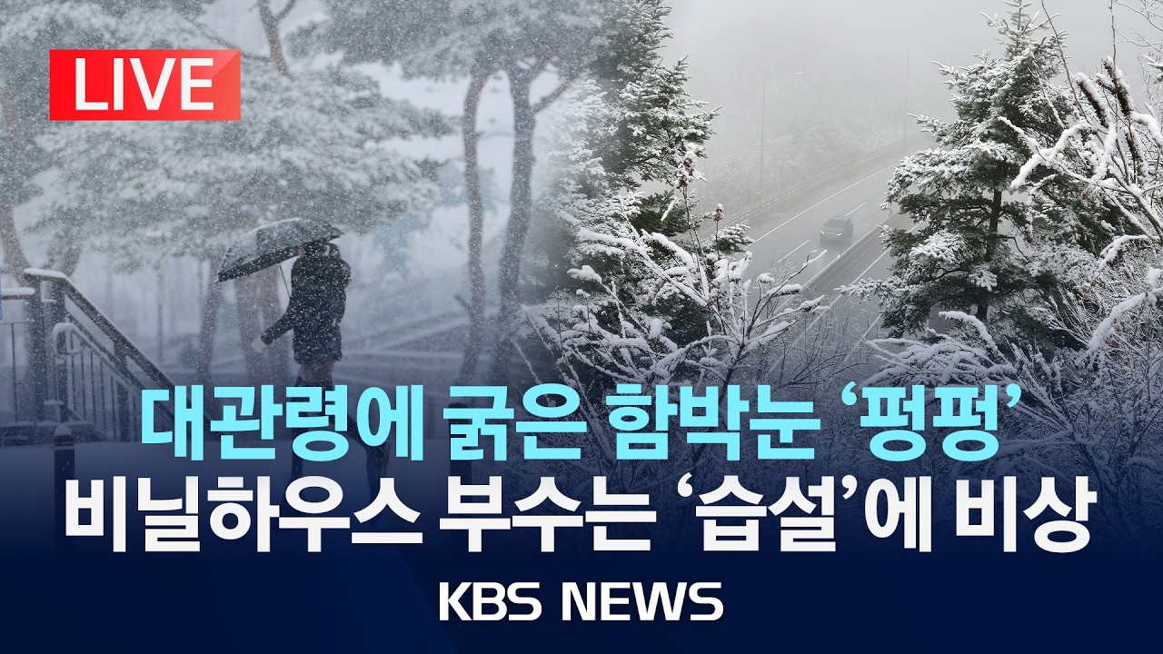 [🔴LIVE] 내일까지 강원에 최대 40cm↑ '눈 폭탄'…무거운 '습설'에 시설물 관리 주의해야/2026년 3월 2일(월)/KBS