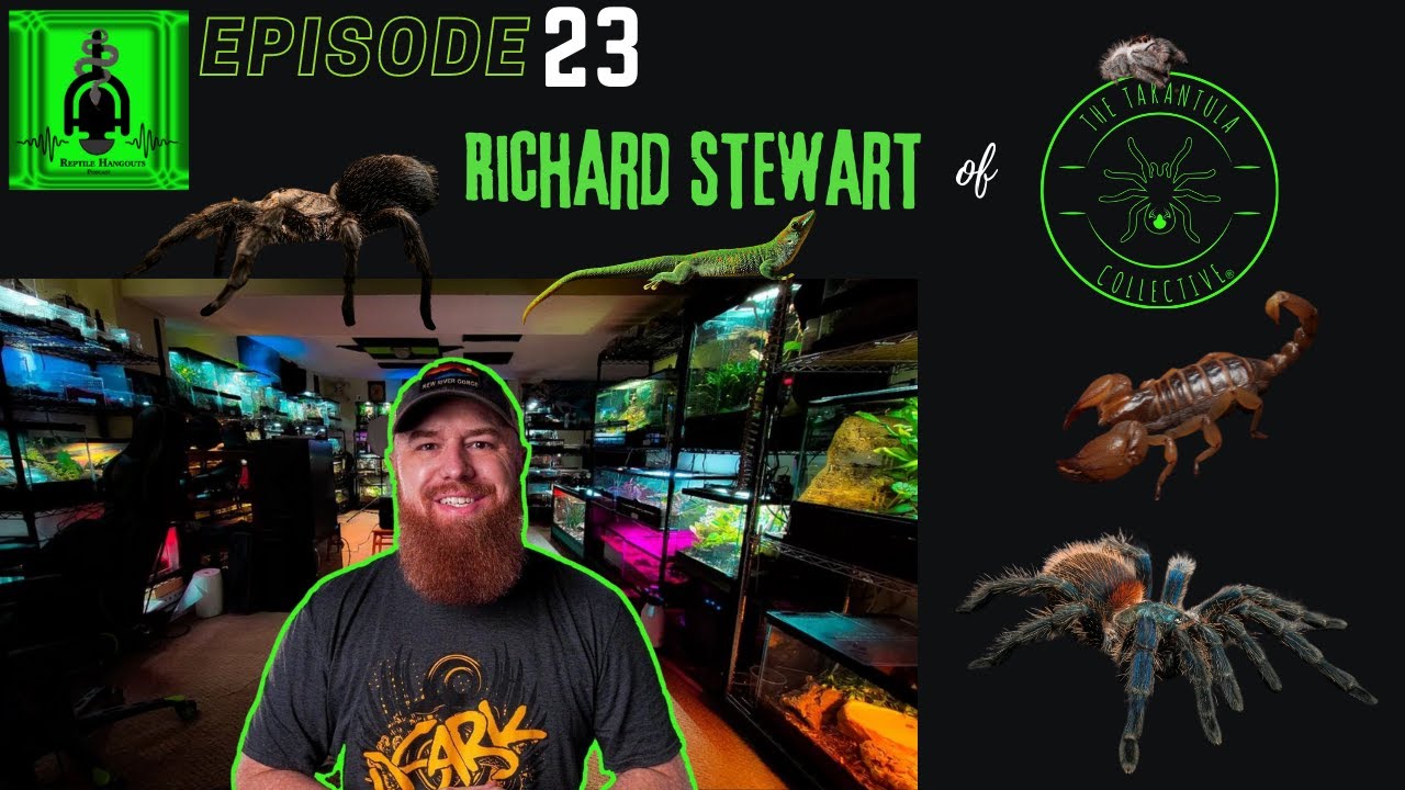 Reptile Hangouts Podcast Episode 23: Richard Stewart of The Tarantula Collective!