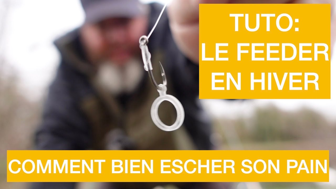 TUTO: Le FEEDER en HIVER  Comment bien ESCHER son PAIN    4K