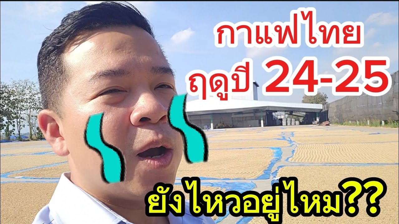 กาแฟไทยตลาดปี 2024-2025 กะลากาแฟไทยยังซื้อได้ไหม มุมมองคนทำโรงคั่วกาแฟและคนซื้อสาร