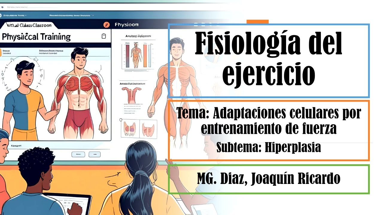 🎥 Adaptaciones Celulares por Entrenamiento de Fuerza – 4 – Hiperplasia