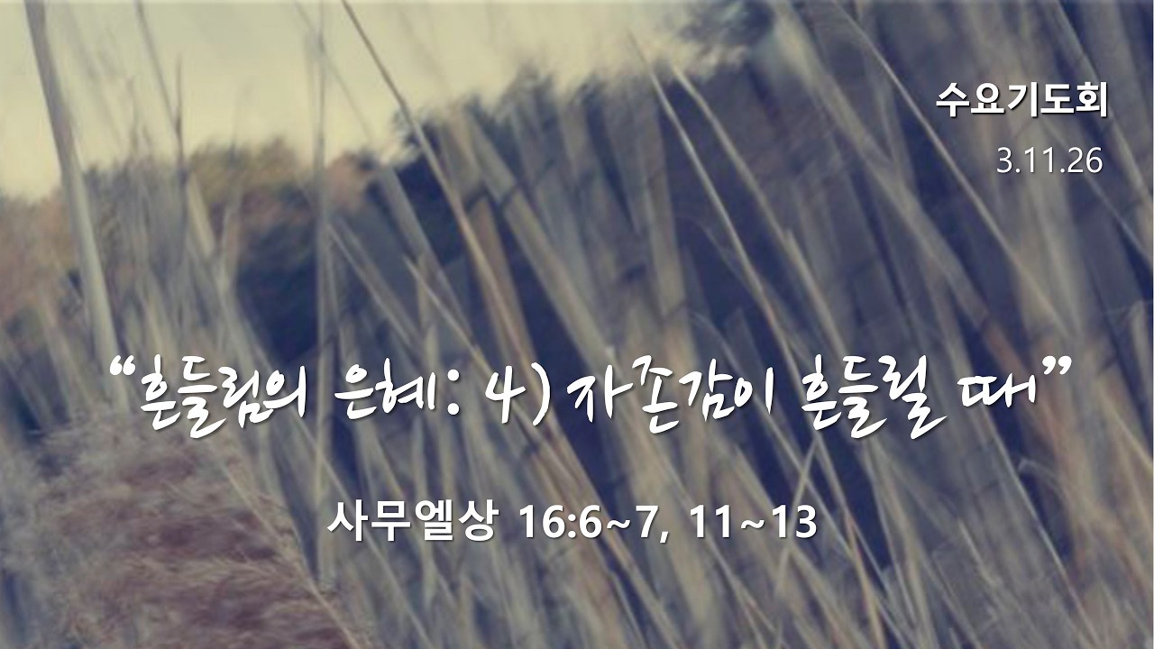 수요 기도회 - 031126 