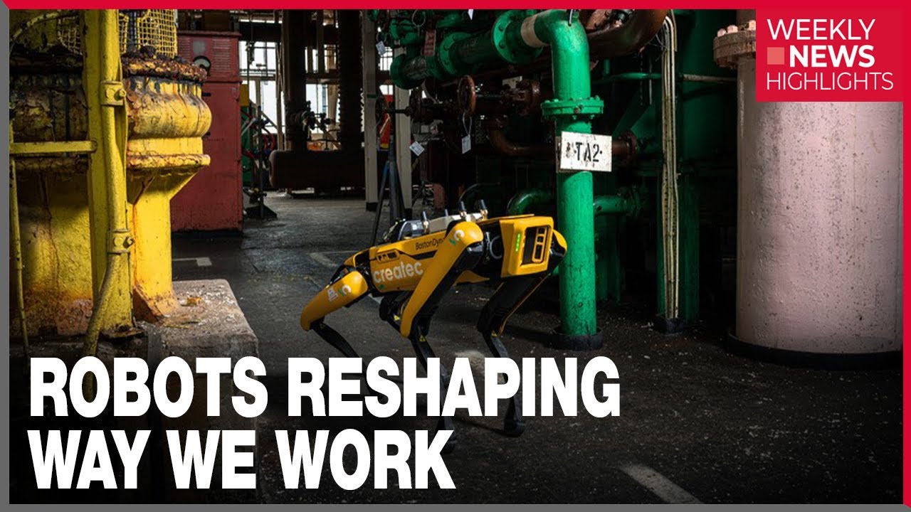 [WEEKLY FOCUS] Should we be worried about robots taking human jobs?