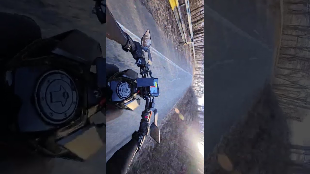 duke and honda 125 chill ride through dead forest in 4k