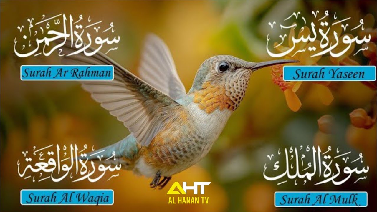Blessed Surah Yaseen | Surah Rahman | Surah Waqiah | Surah Mulk