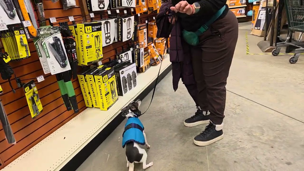 Mooshu at Bass pro
