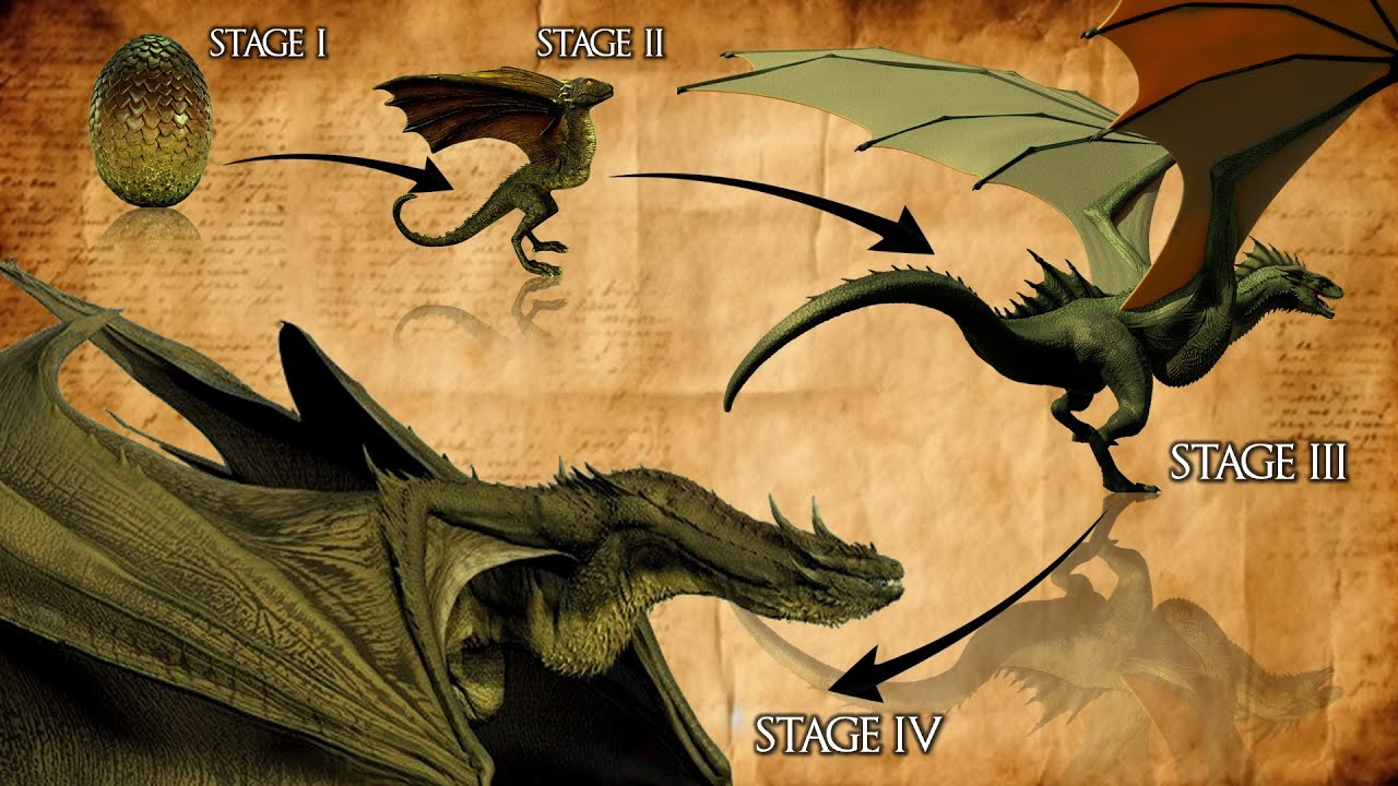 7 Life Stages of a Targaryen Dragon in HotD | GoT