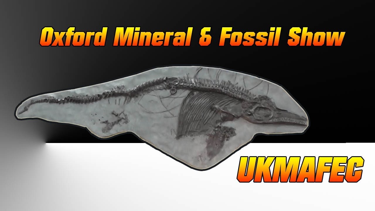 Oxford Mineral & Fossil Show