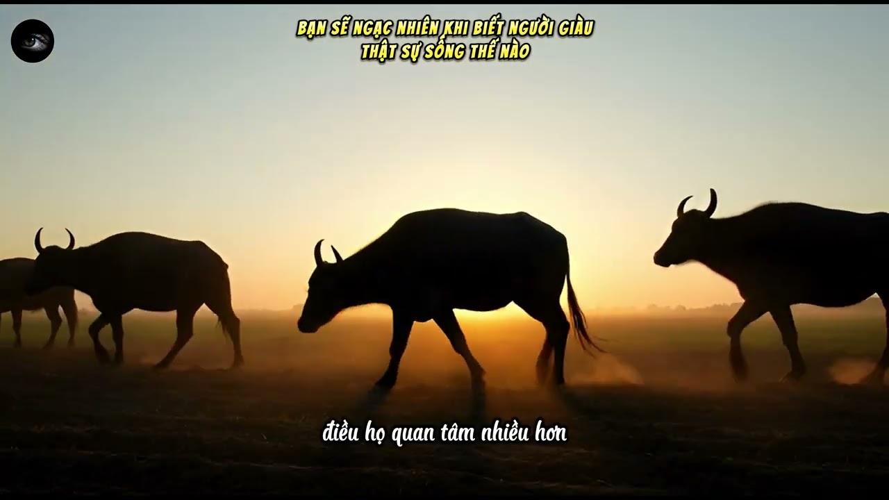 Bạn sẽ ngạc nhiên khi biết người giàu thật sự sống thế nào | Phũ Nhưng Thật