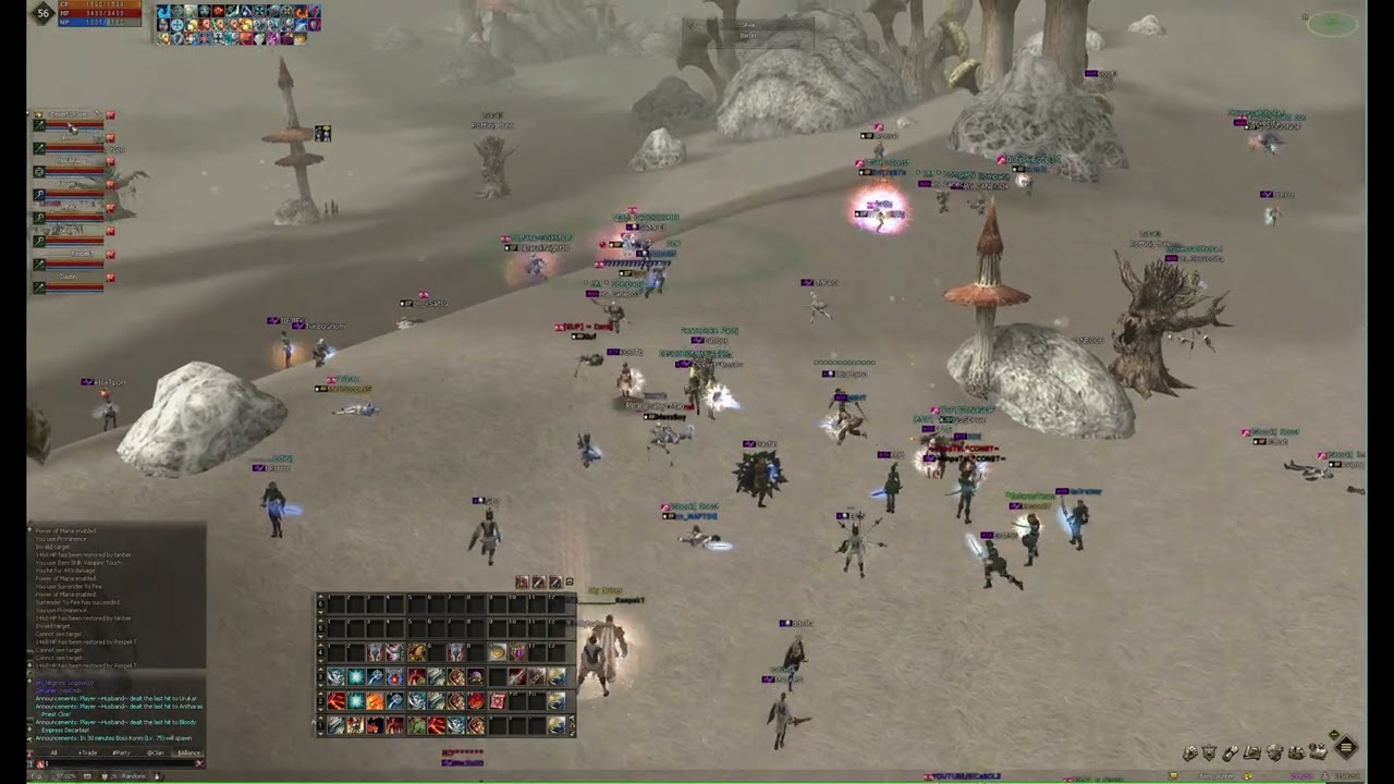 Mass PvP fight on eirin server x30, interlude and crowd in 2026