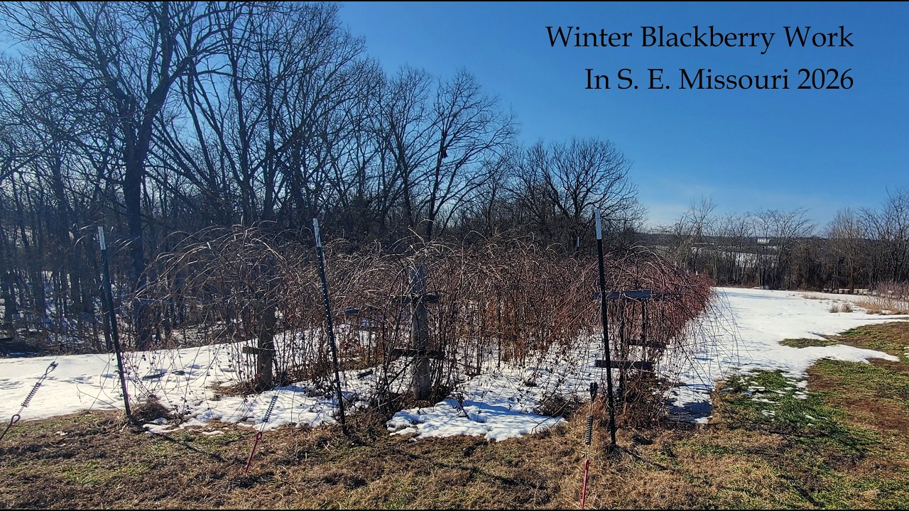 Winter Work on the Blackberry Farm