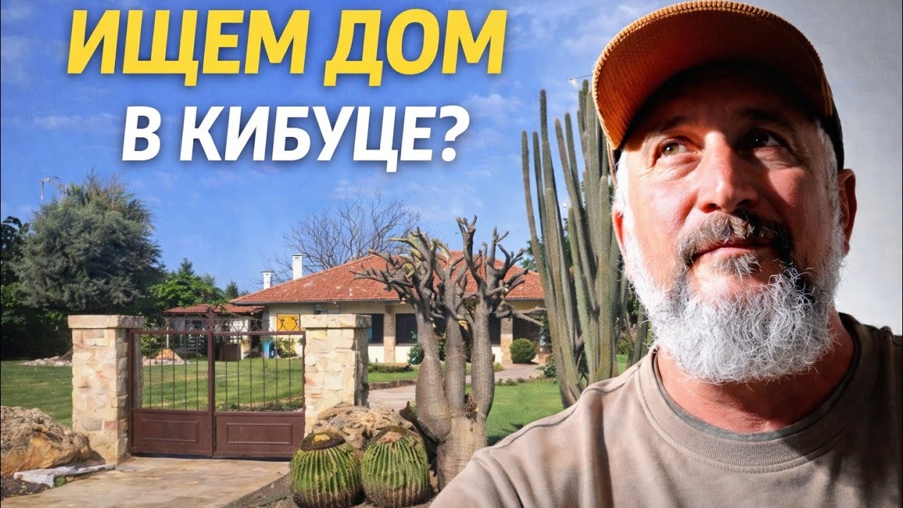Ищем дом