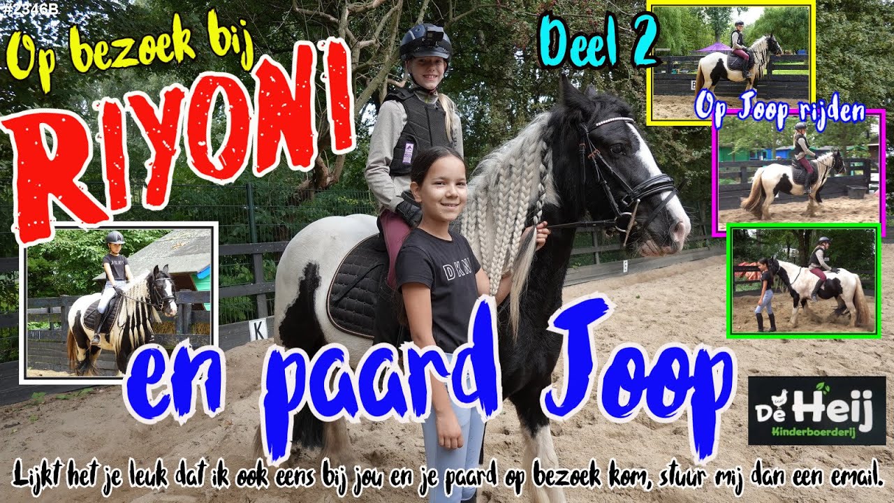 Rijden op EEN TINKER PAARD bij RiYoni te Rotterdam Charlois #2346B