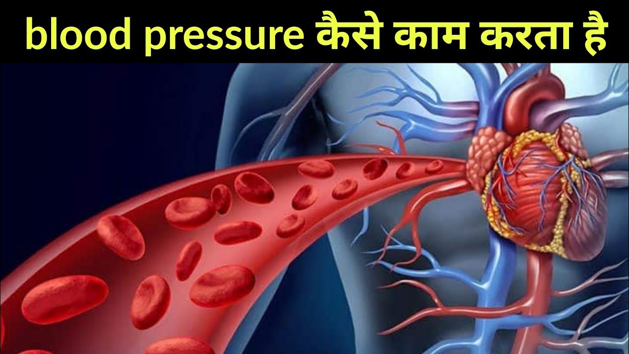 blood pressure कैसे काम करता हैं - physiology of blood pressure