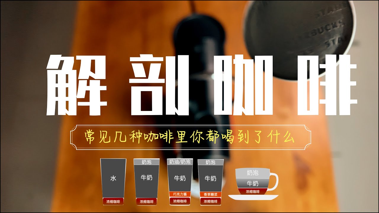 咖啡知识(1) | 初步了解你喝的咖啡（动图文字直观了解咖啡）