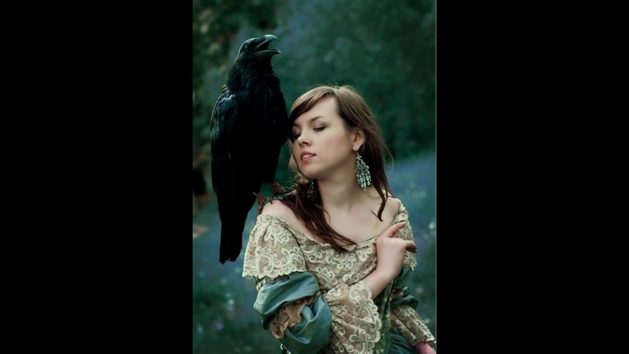 Le message du Corbeau-Animal Totem🍁