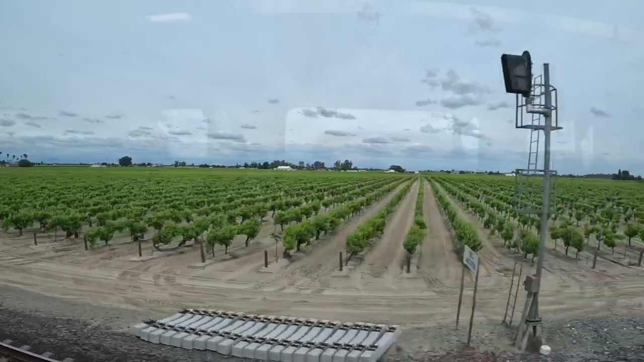 Fresno to Bakersfield 🚊 Amtrak (East Views)