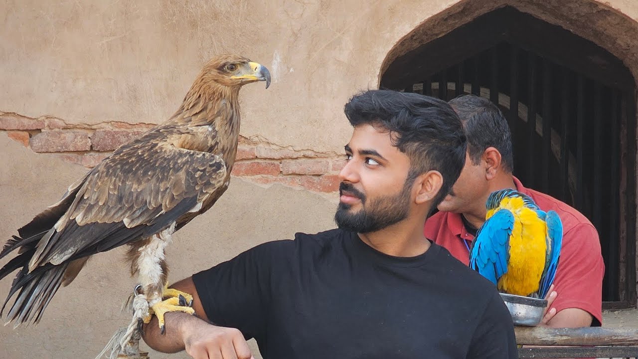 South African Explores Lahore's Gems | Shahi Qila & Badshahi Masjid