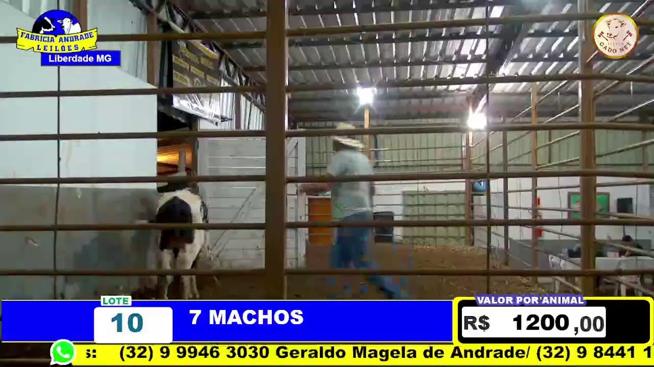 Fabr&iacute;cia Andrade Leil&otilde;es