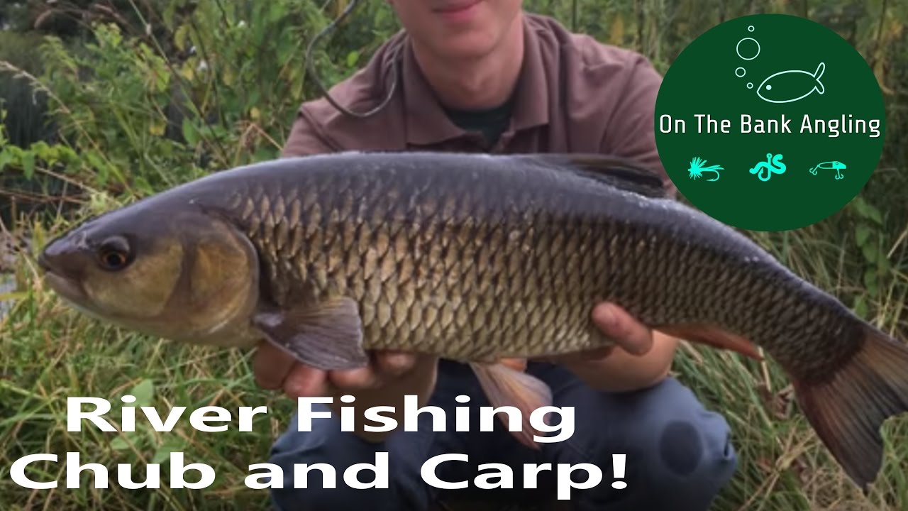 River Fishing - A Royalty and Throop Adventure!