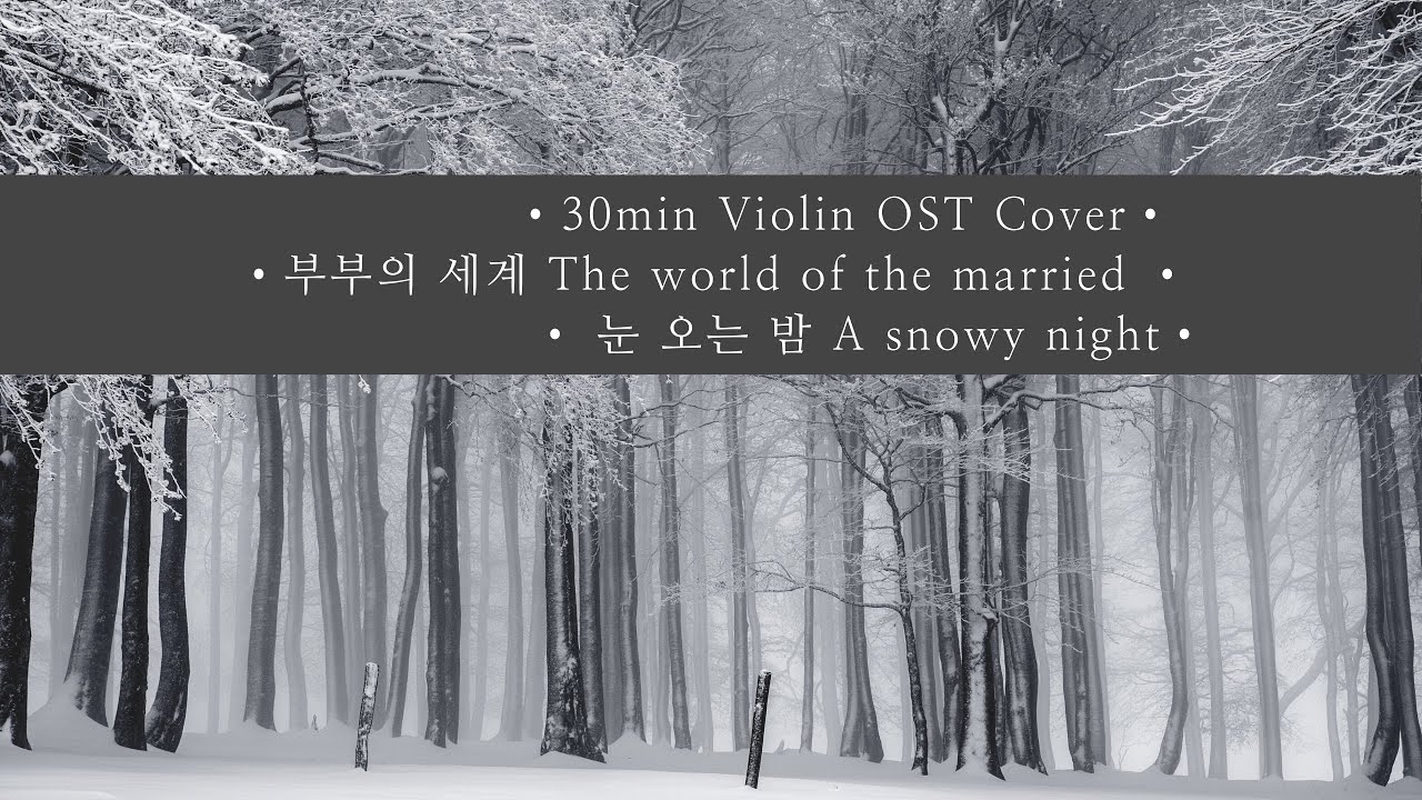 [30 min.] The world of the married OST  ‹Sunwoo’s Theme› Violin Cover