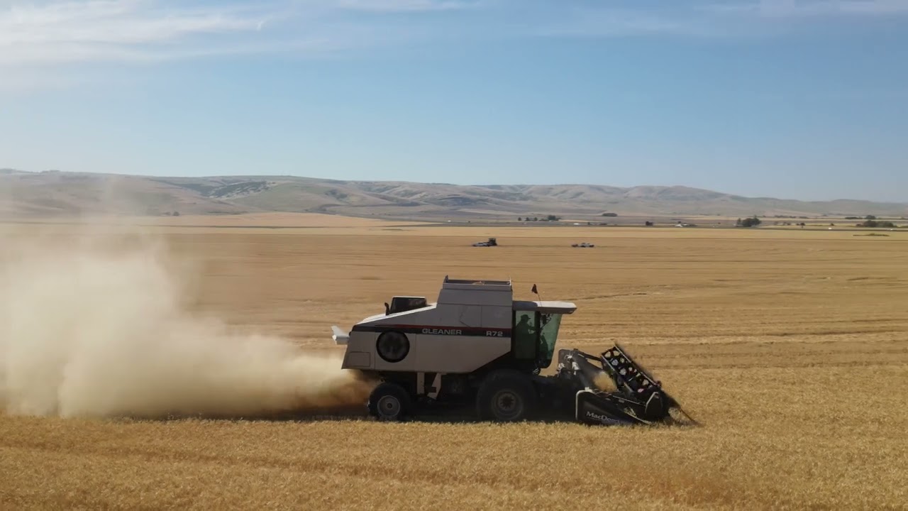 2022 Eastern Oregon Wheat Harvest