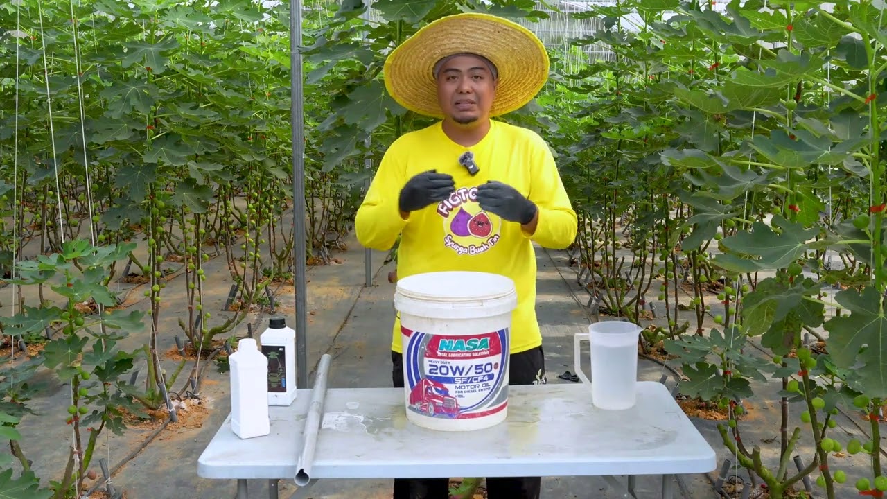 Cara Guna Baja AB Pokok Tin