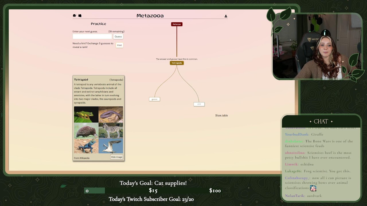 Let's hang! | TTRPG talk, D&D advice, and games! | Desktop Stream