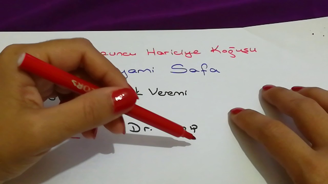 DOKUZUNCU HARİCİYE KOĞUŞU ÖZETİ VE PEYAMİ SAFA'NIN HAYATI