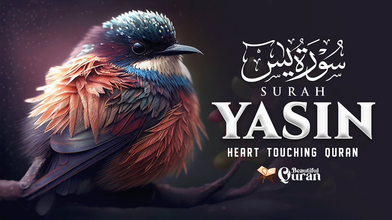 Surah Yasin سورة يس | Relaxing Lofi Quran Recitation for Spiritual Peace | #quranvibes | BQ