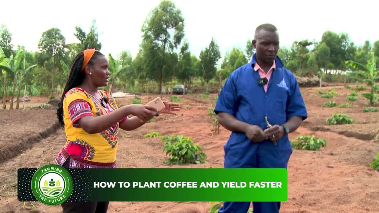 FARMING THE FUTURE - COFFEE PLANTATION PART 2