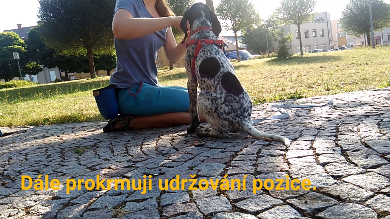 Shaping ''SIT'' - Rafiki, 10weeks greyster