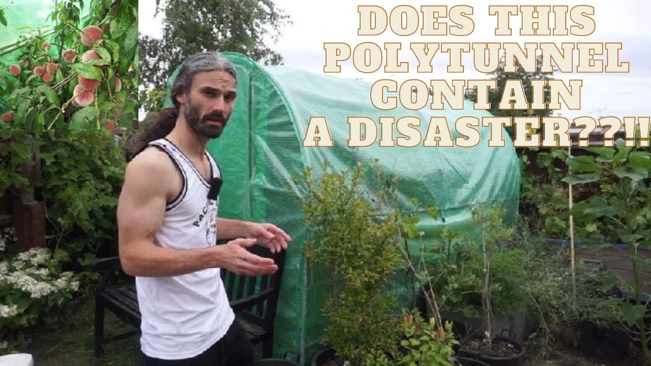 Polytunnel disaster failure or success?!! You decide!! Hightunnel tour