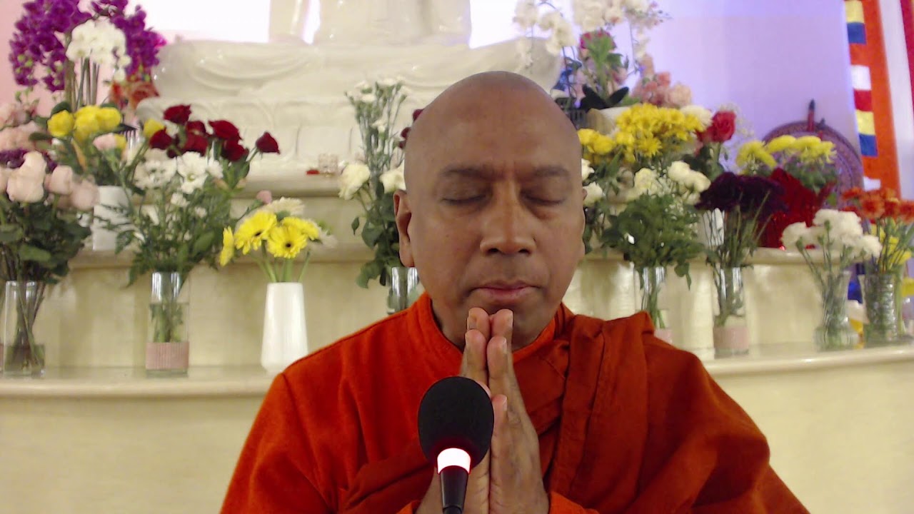 Topic “Four Types of Lotuses and Compassion”