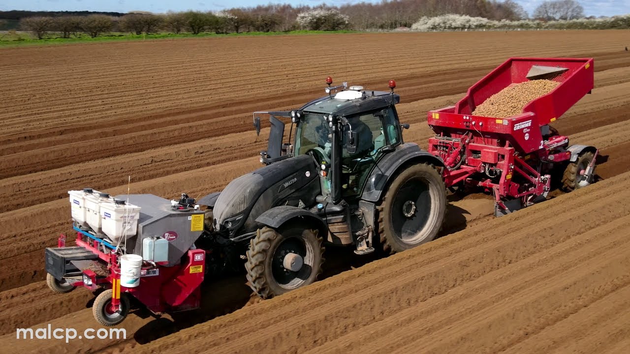 4k Foskett Farms tractors planting potatoes in Hemley, Suffolk 2023, Massey Ferguson Valtra Grimme