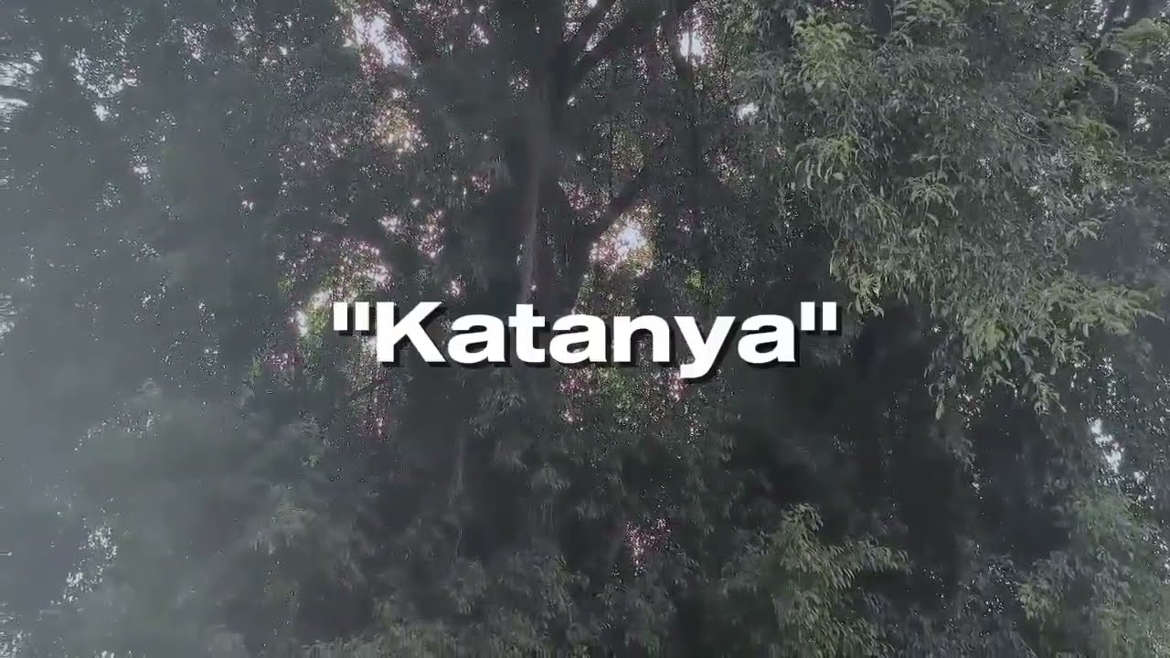 Tugas PAK | Video Iklan Layanan Masyarakat | Anti Korupsi | Kelompok 5 | Kelas XII TJKT 1 